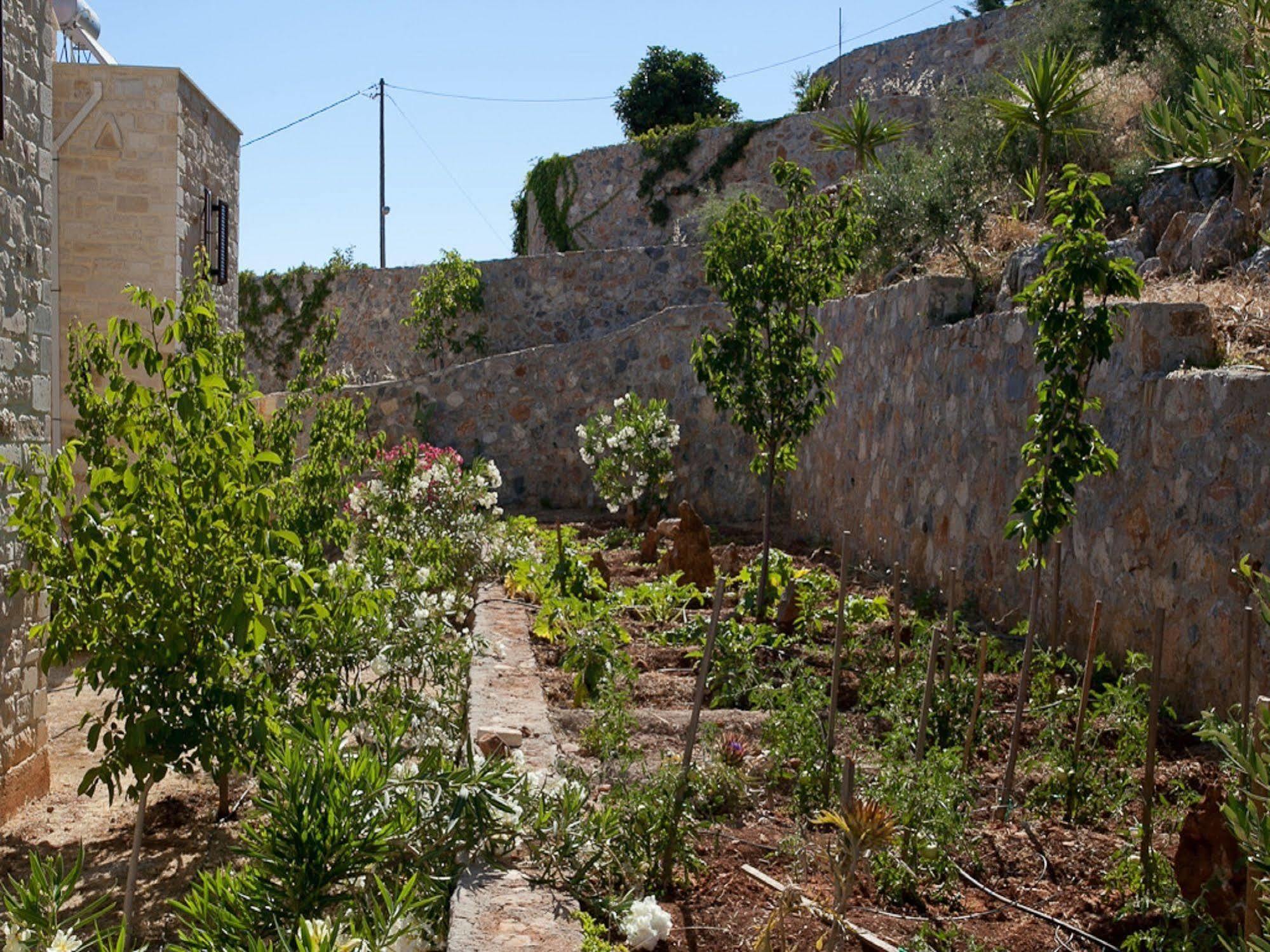 Villa Apollo - Saint George'S Retreat Village Kokkino Chorio Exterior foto